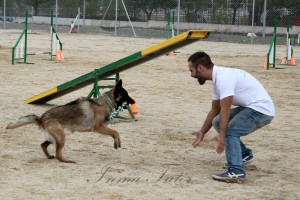 deportiva-agility-madrid-1117