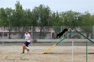 deportiva-agility-madrid-111