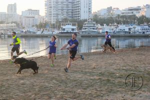 fotografia deportiva canicross ibiza